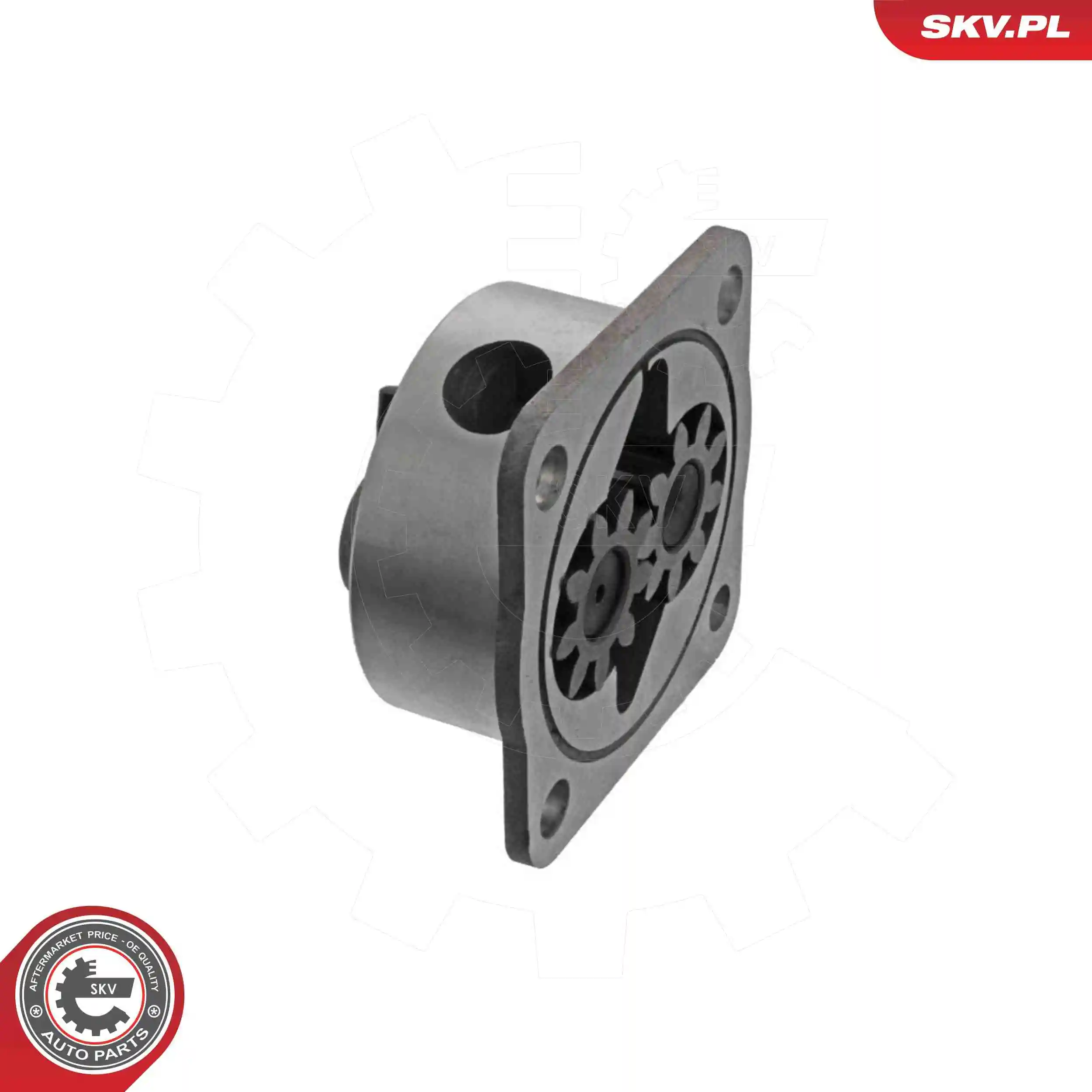 Oil Pump 77SKV054