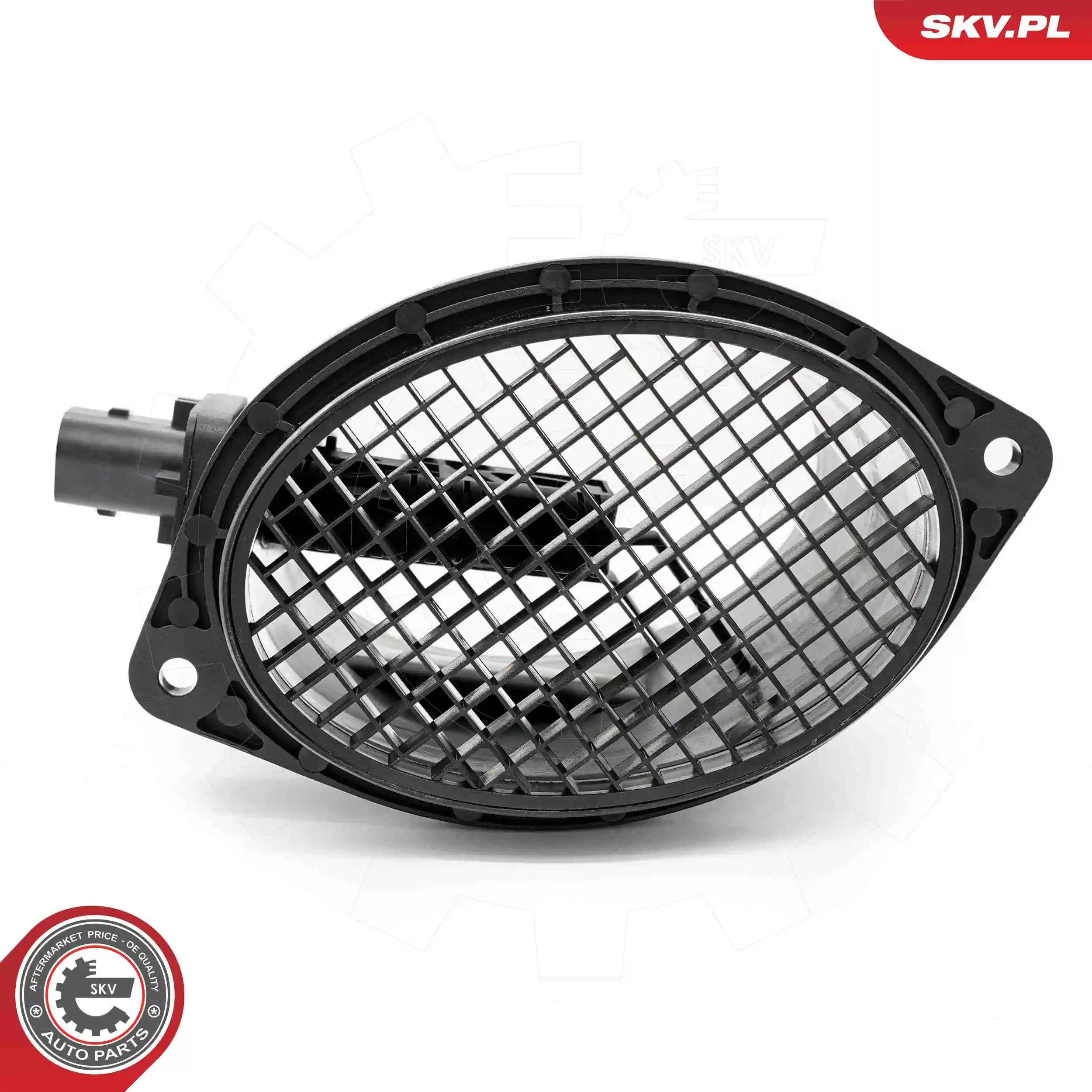 Mass Air Flow Sensor 07SKV248