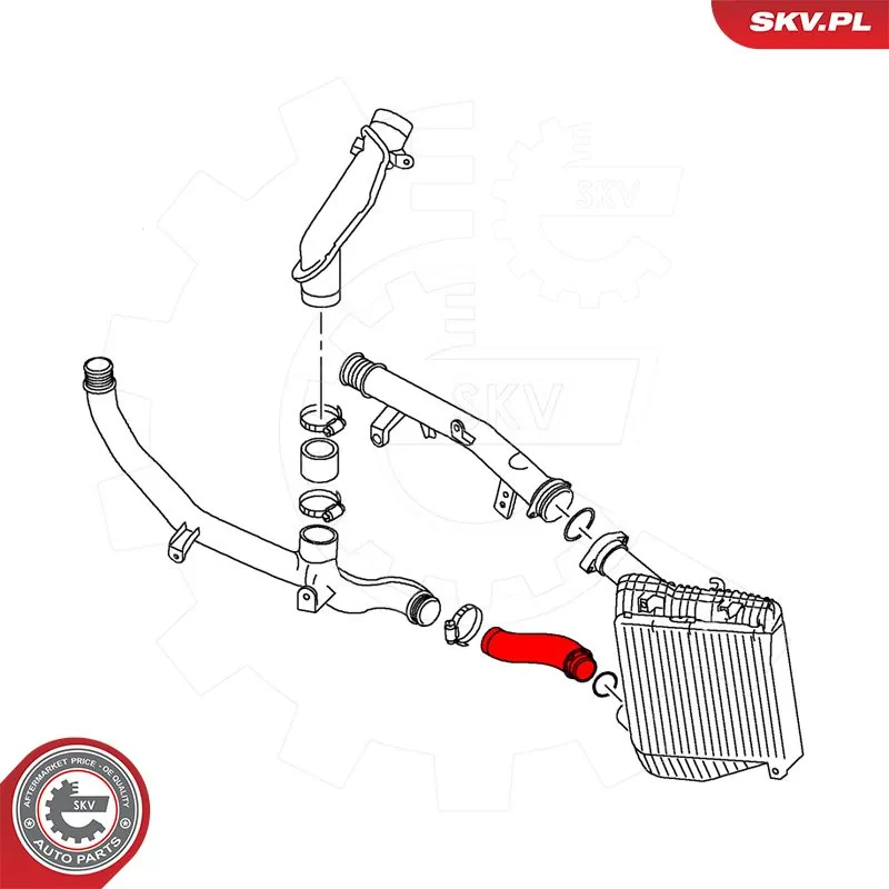 Charge Air Hose 43SKV486