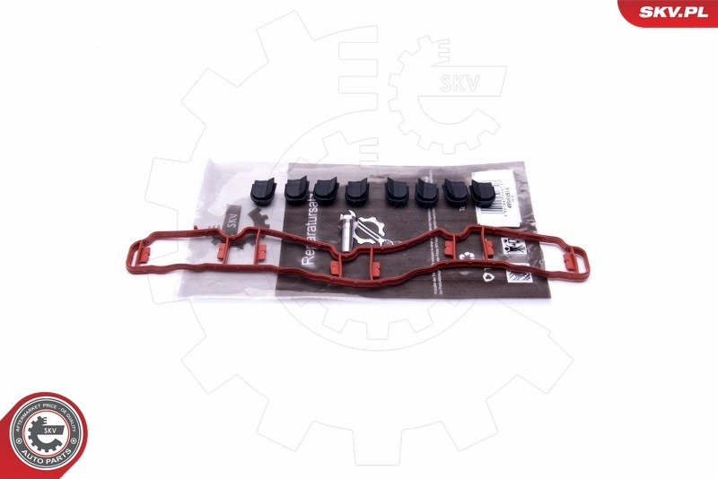 Repair Kit, intake manifold module 49SKV514