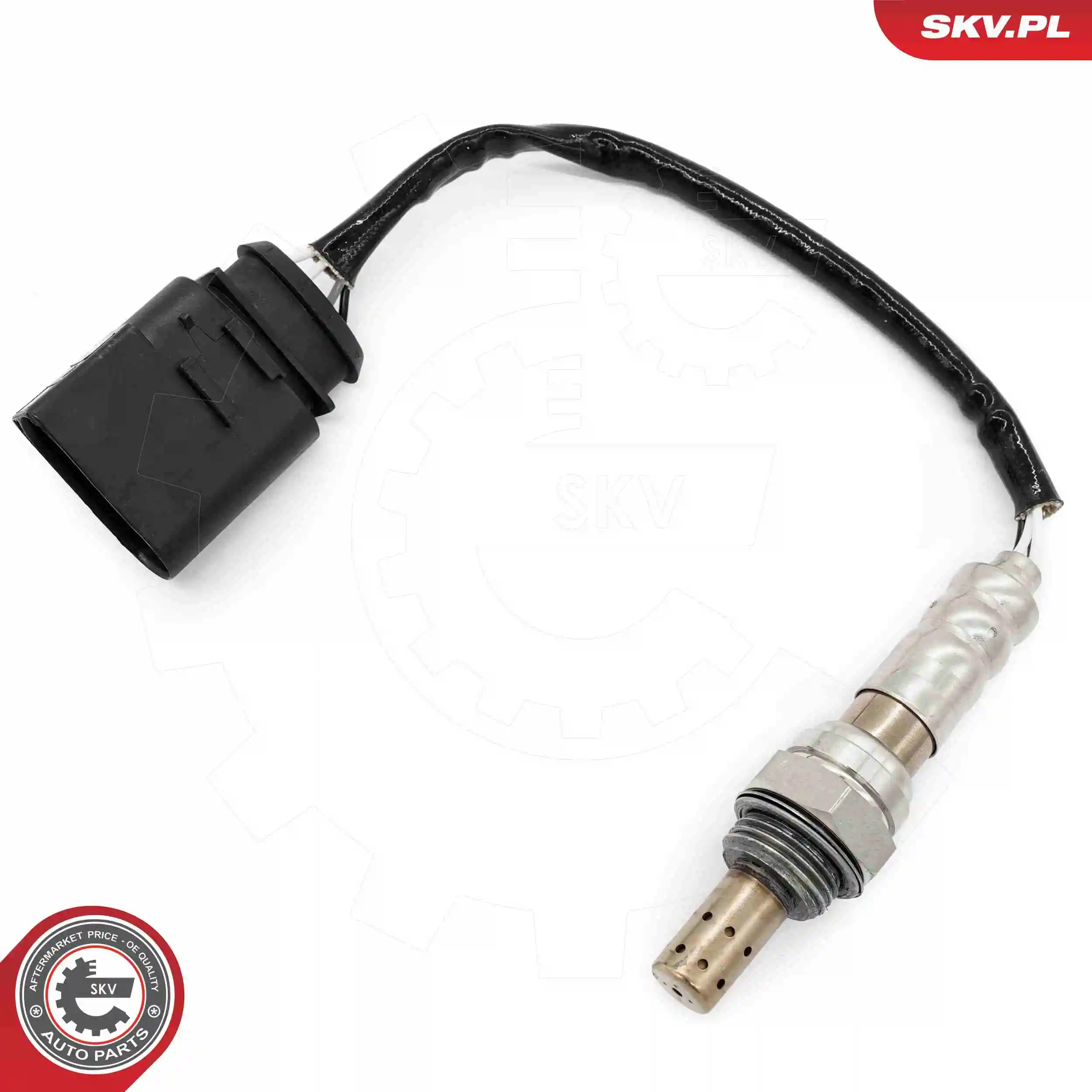 Oxygen Sensor 09SKV149