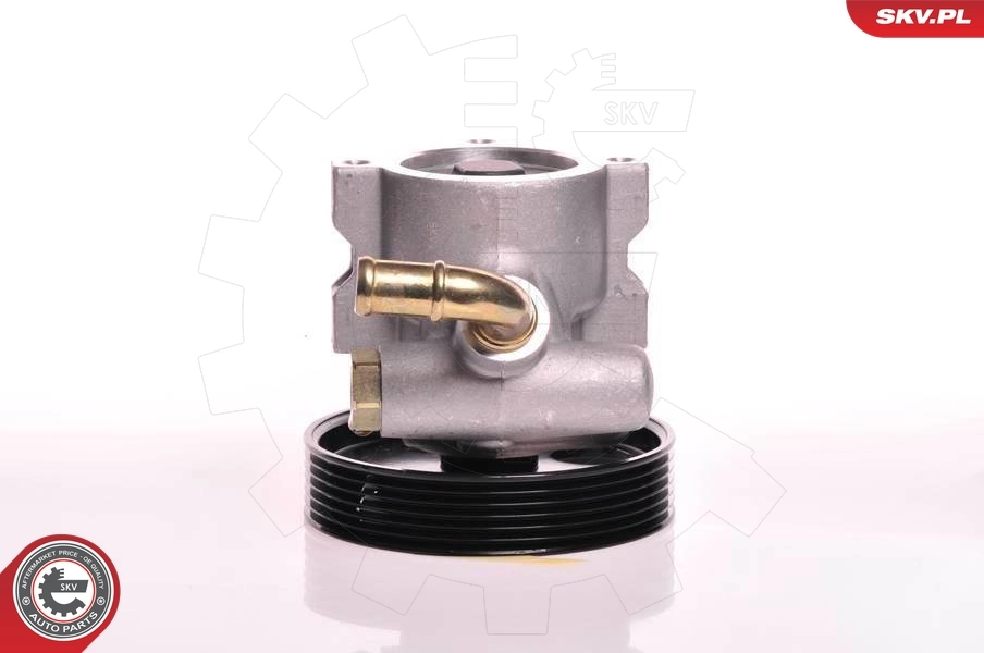 Hydraulic Pump, steering 10SKV013