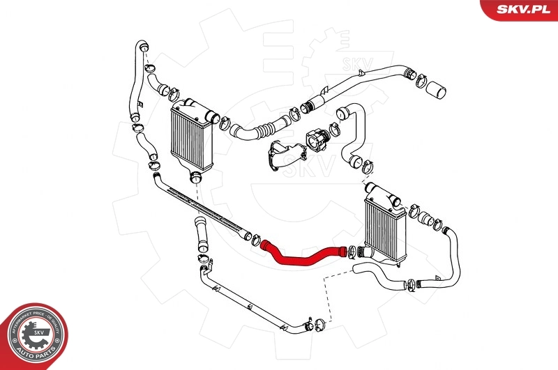 Charge Air Hose 43SKV117