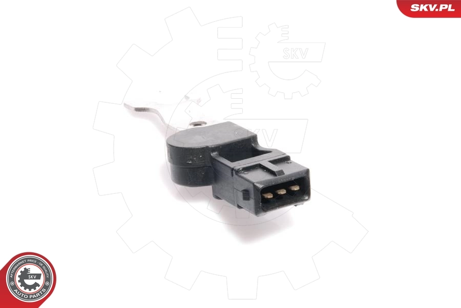 Sensor, camshaft position 17SKV218