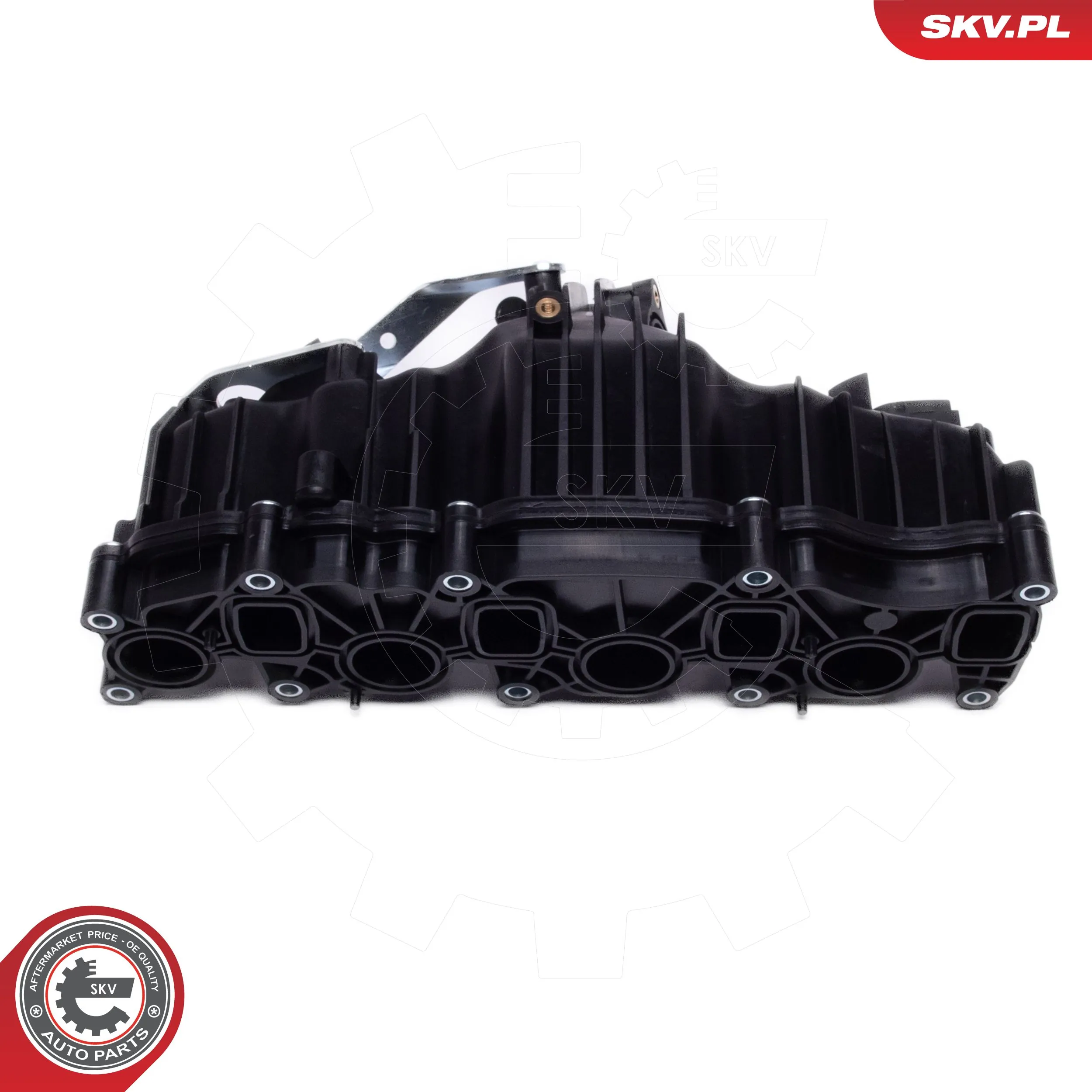 ESEN SKV 49SKV077 Intake Manifold Module