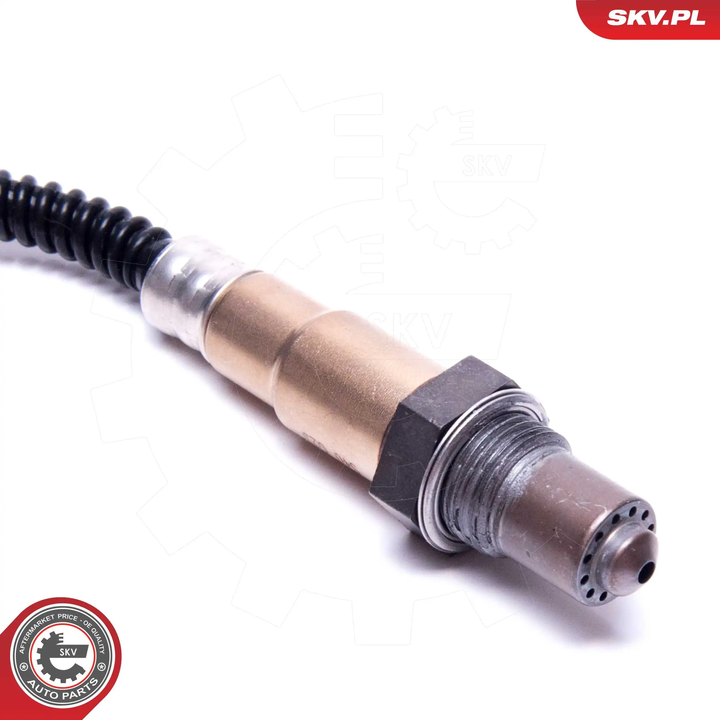 Oxygen Sensor 09SKV119
