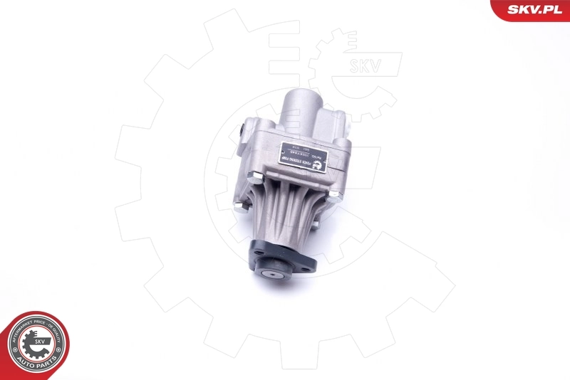 Hydraulic Pump, steering 10SKV245