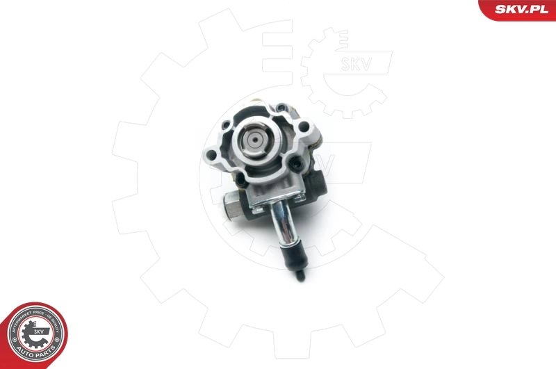 Hydraulic Pump, steering 10SKV190