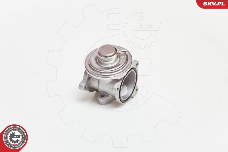 EGR Valve 14SKV034