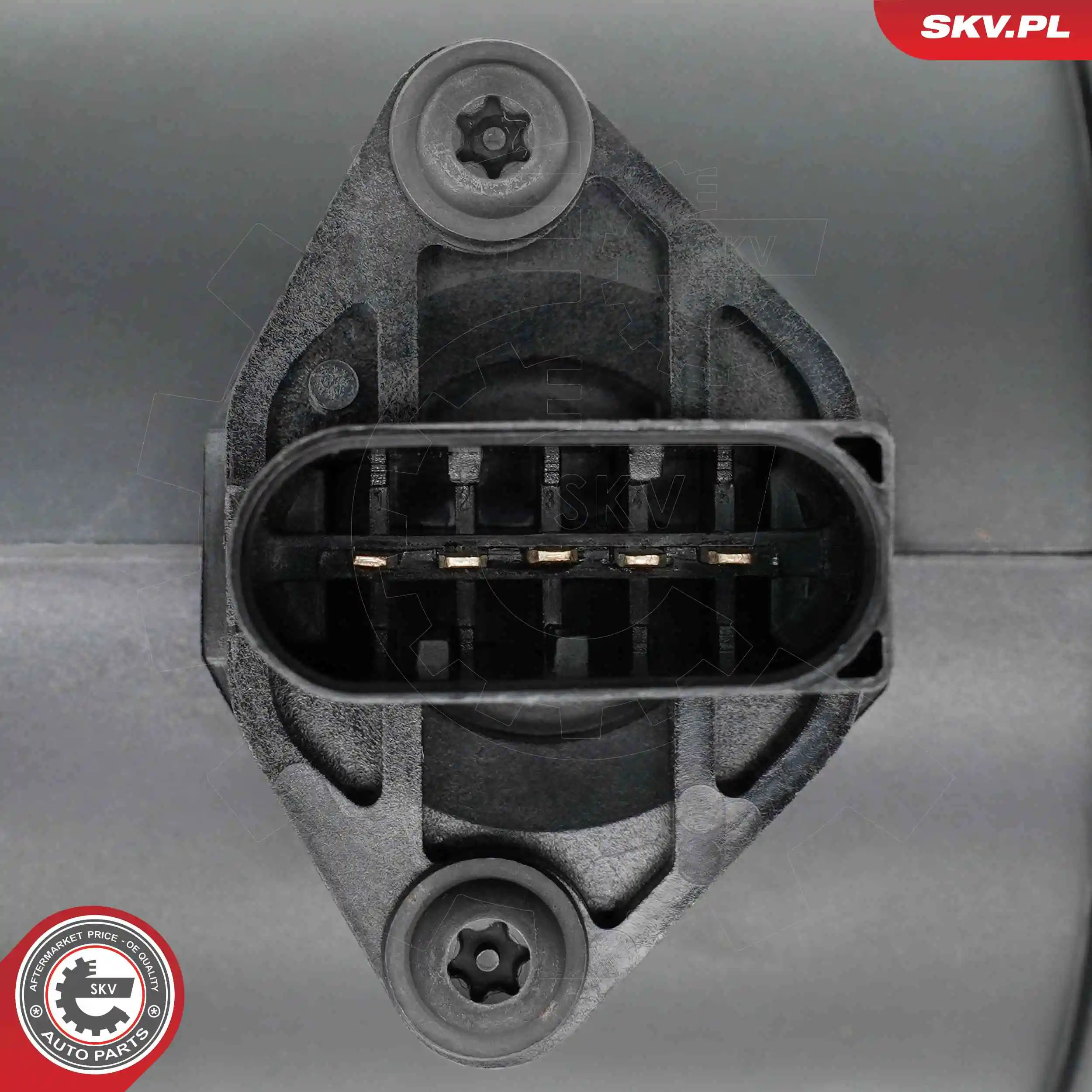 Mass Air Flow Sensor 07SKV345