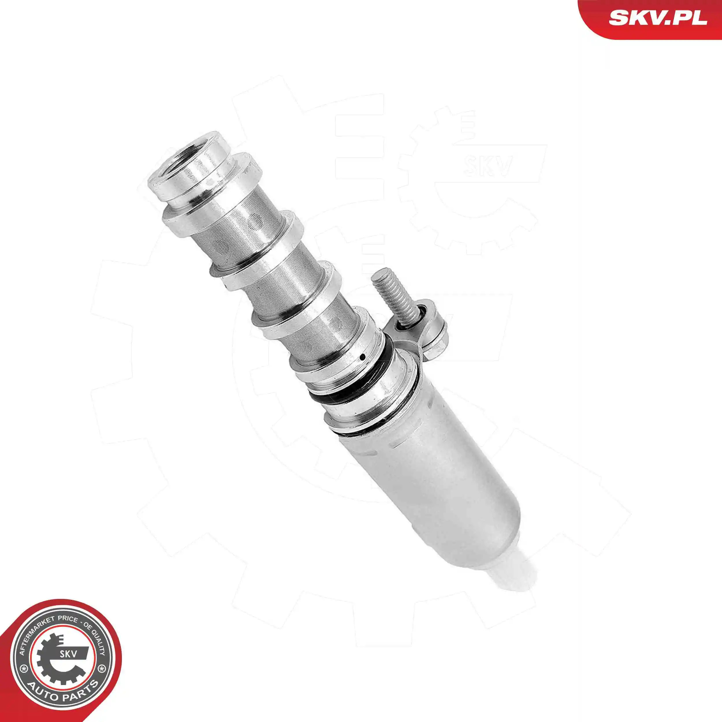 Control Valve, camshaft adjustment 39SKV095