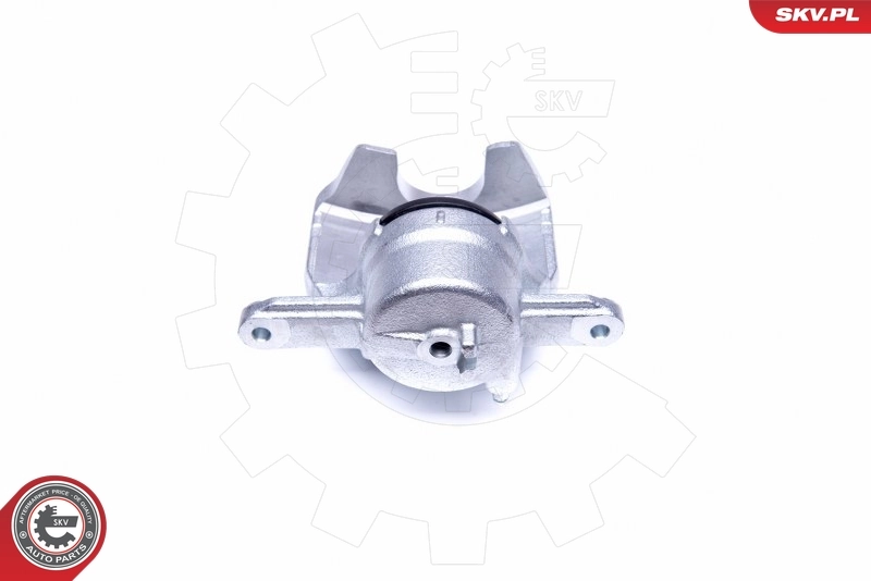 Brake Caliper 44SKV152