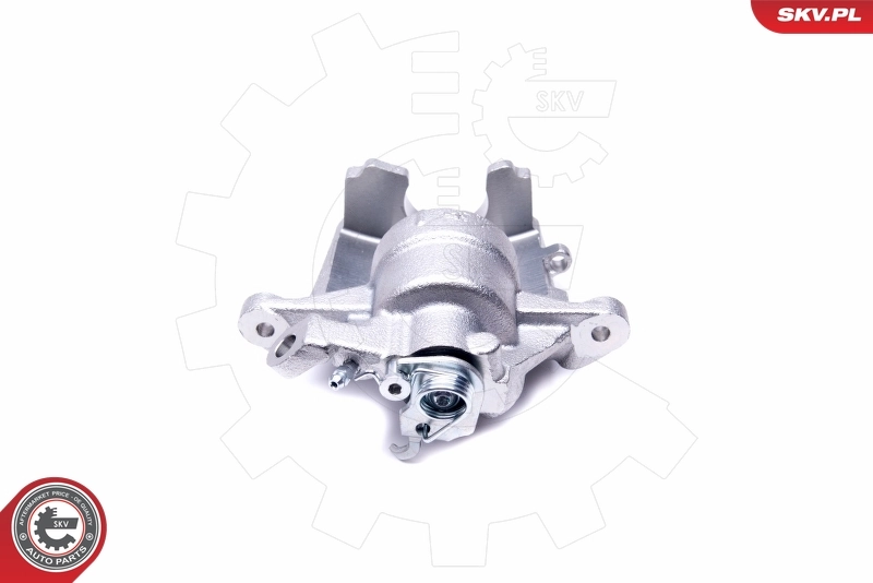 Brake Caliper 42SKV912