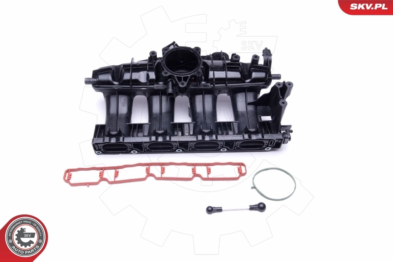 Intake Manifold Module 49SKV009
