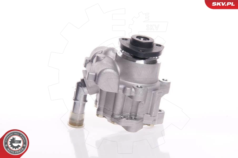 Hydraulic Pump, steering 10SKV145