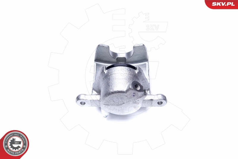 ESEN SKV 44SKV811 Brake Caliper