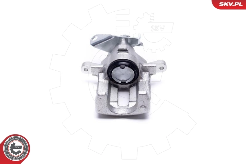 Brake Caliper 56SKV143