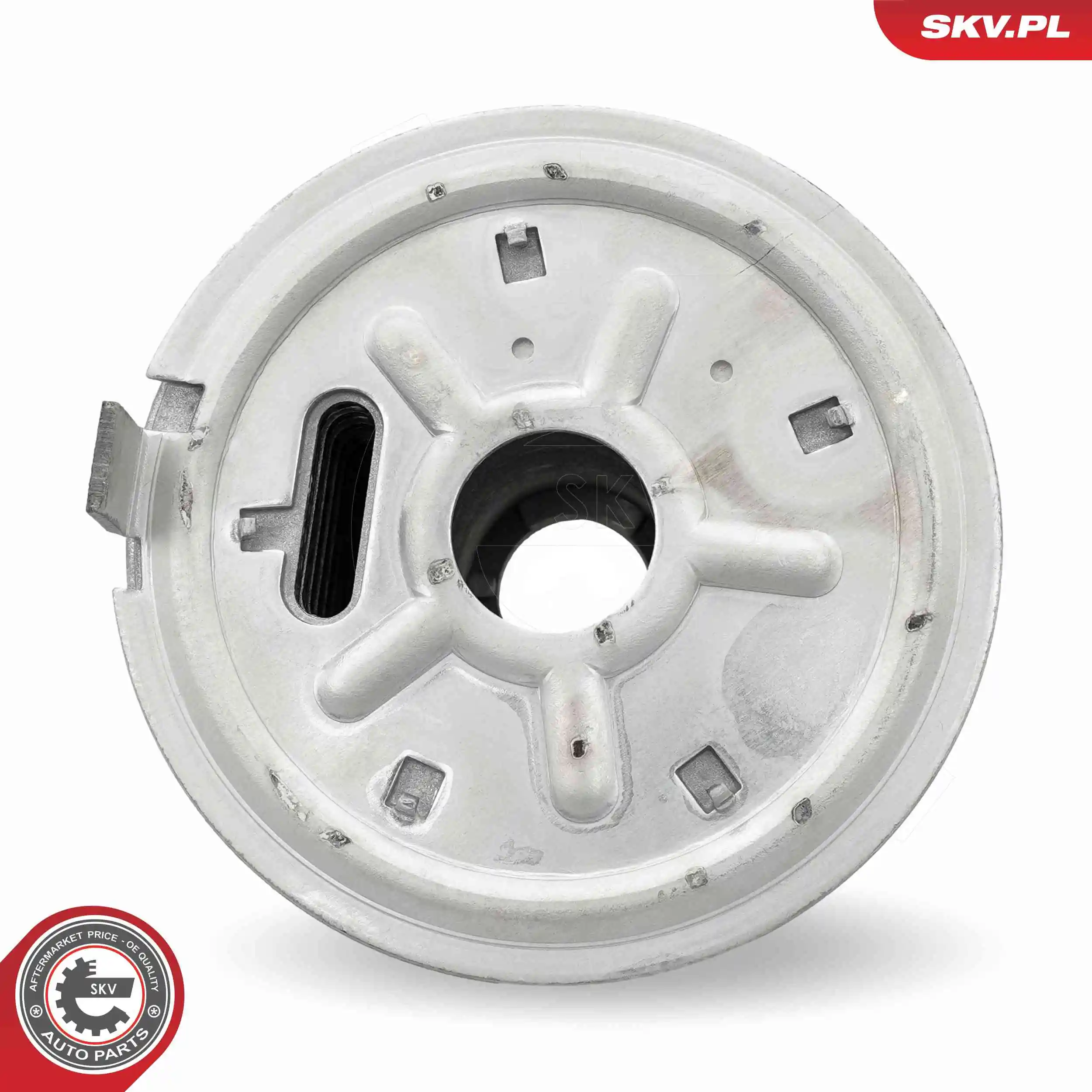 Oil Cooler, engine oil 31SKV315