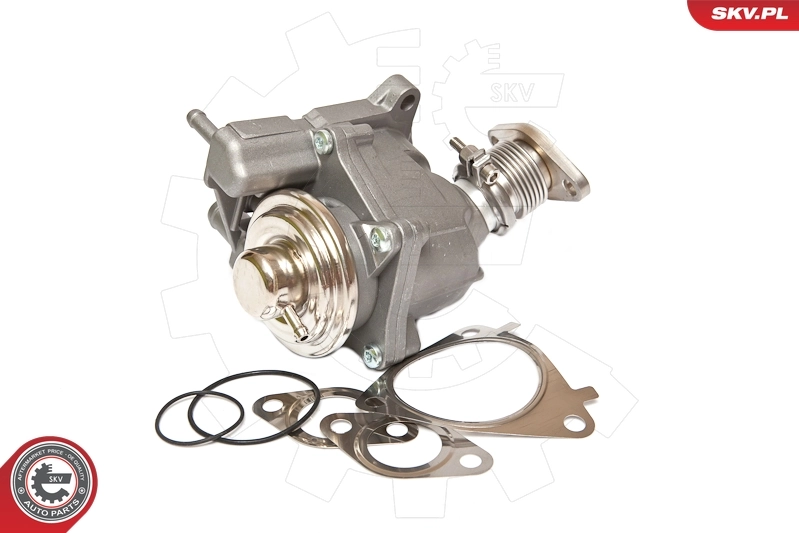 EGR Valve 14SKV063