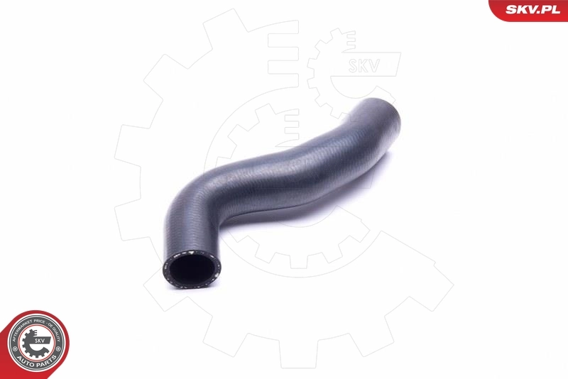 Radiator Hose 43SKV829