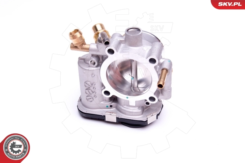 Throttle Body 12SKV074