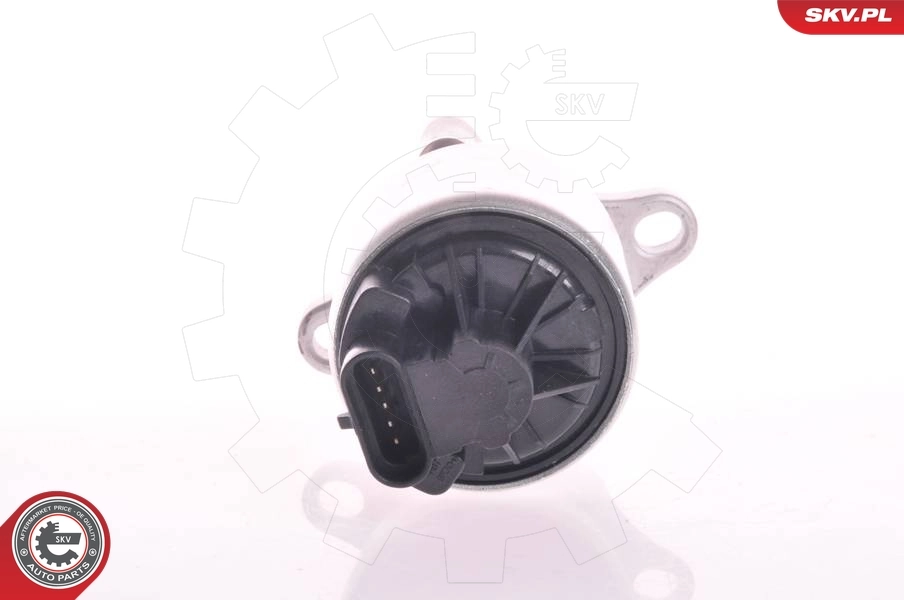 EGR Valve 14SKV002