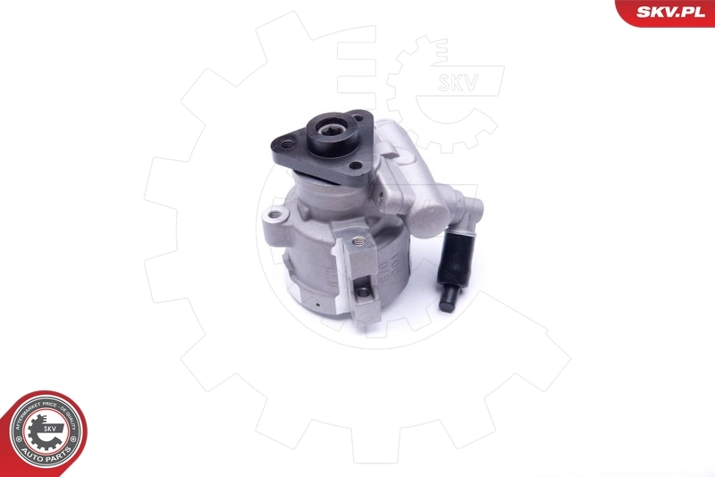 Hydraulic Pump, steering 10SKV252