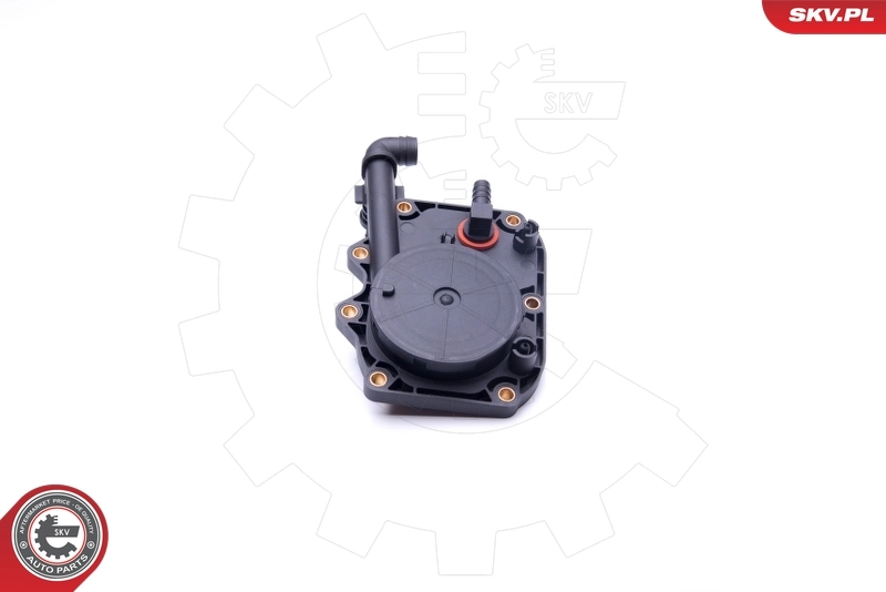 Repair Kit, crankcase ventilation 31SKV100