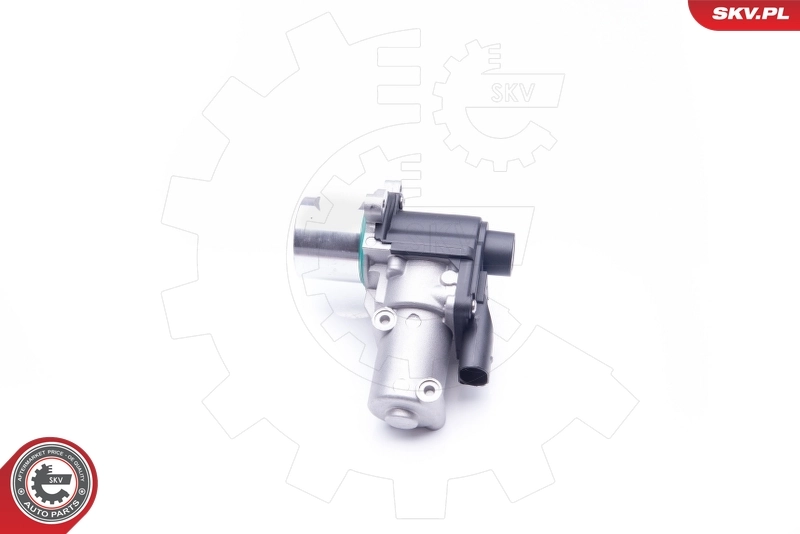 EGR Valve 14SKV164