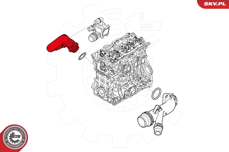 Radiator Hose 24SKV243