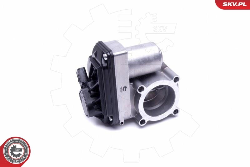 Throttle Body 12SKV092