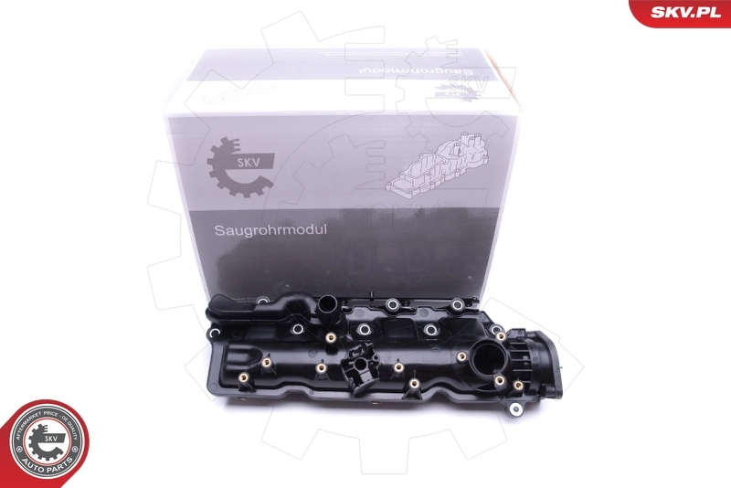 Intake Manifold Module 49SKV005