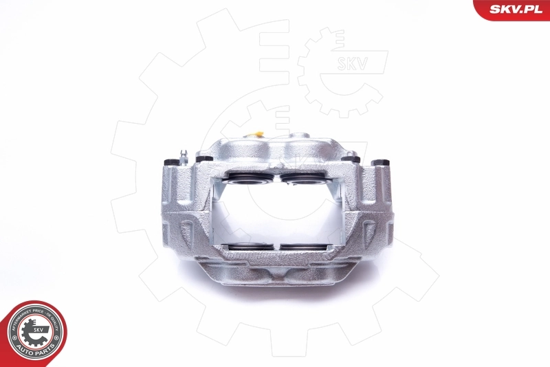 Brake Caliper 42SKV171