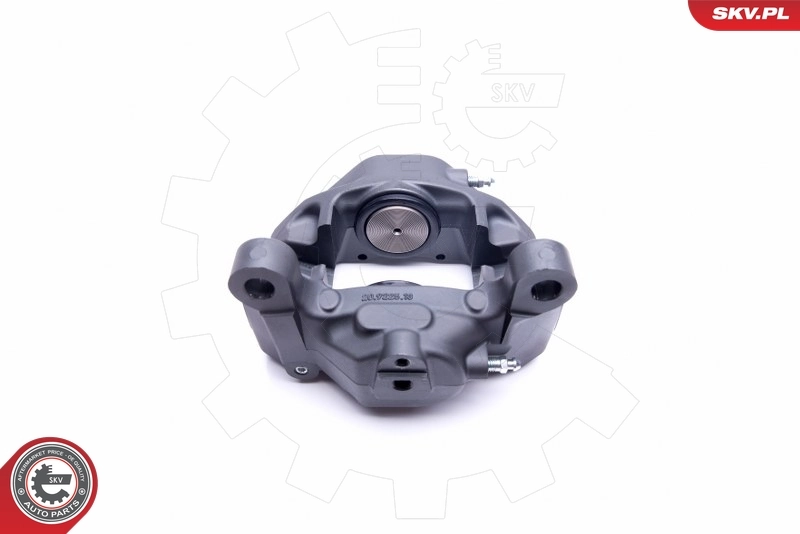 Brake Caliper 42SKV413