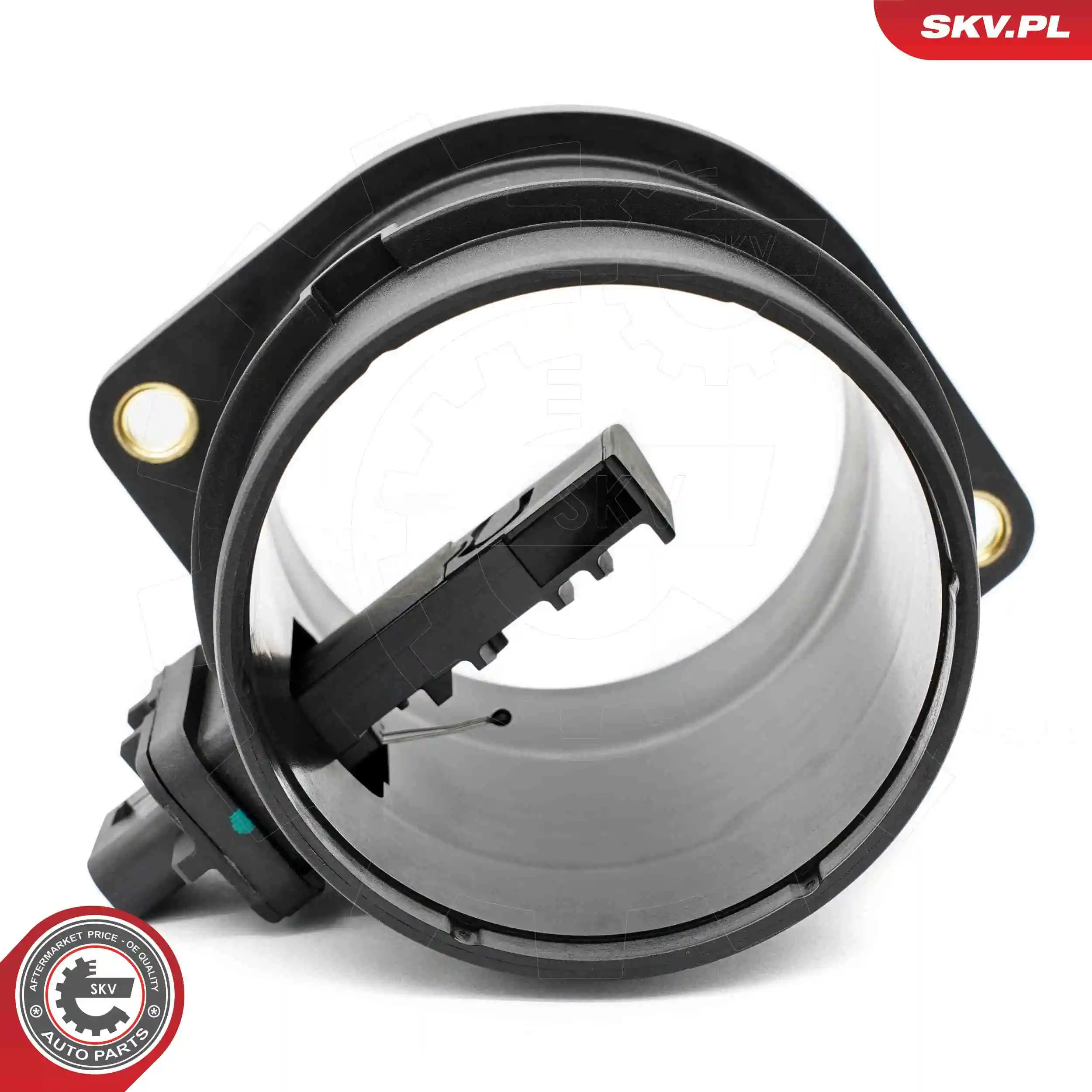 Luftmassenmesser 07SKV239