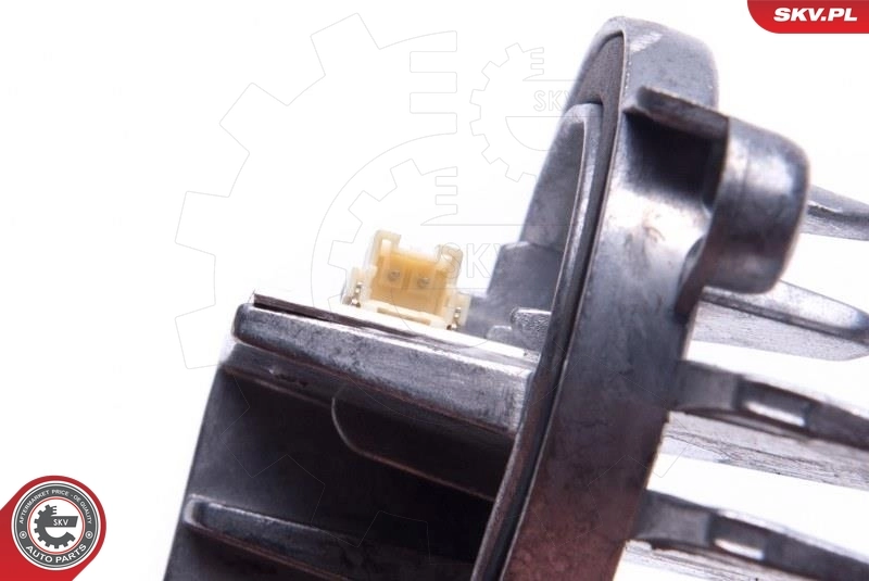 ESEN SKV 59SKV093 Control Unit, lights