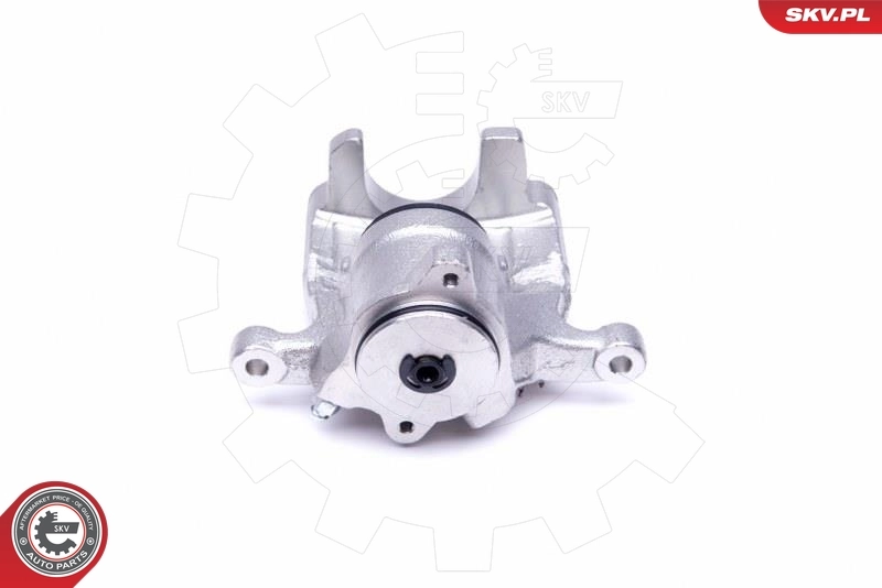 Brake Caliper 44SKV033