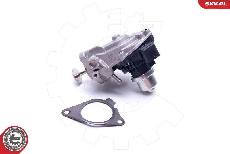 EGR Valve 14SKV233