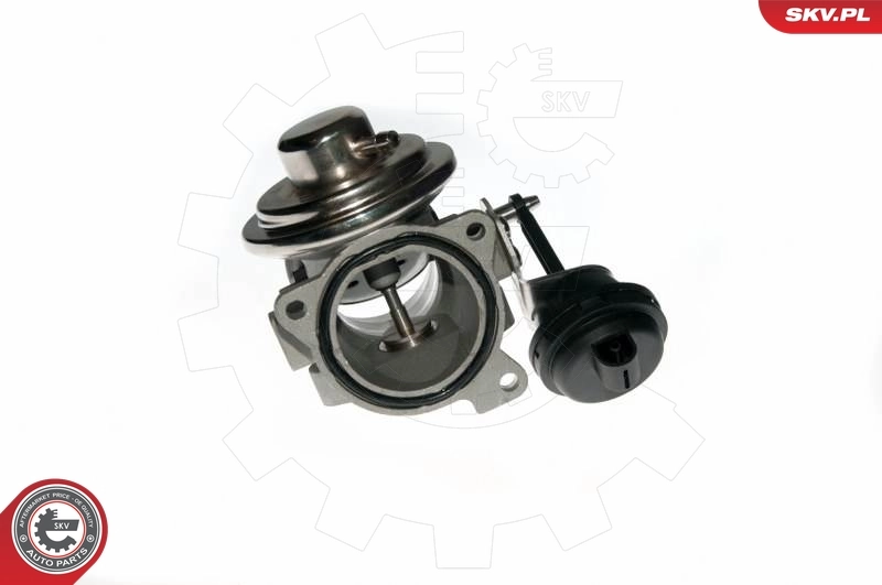 EGR Valve 14SKV090