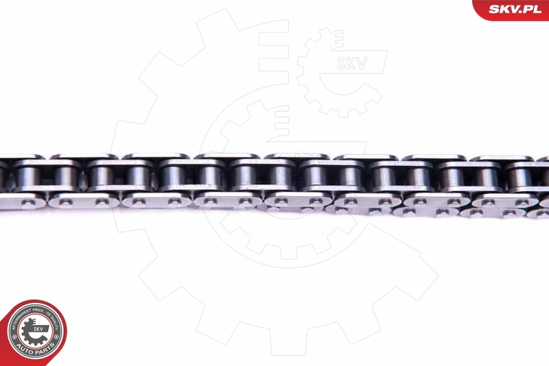 Timing Chain Kit 21SKV211