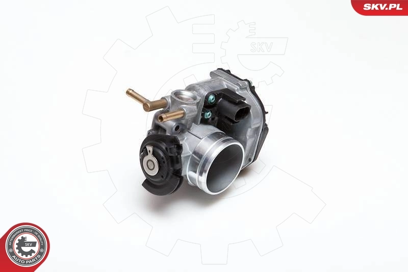 Throttle Body 12SKV009