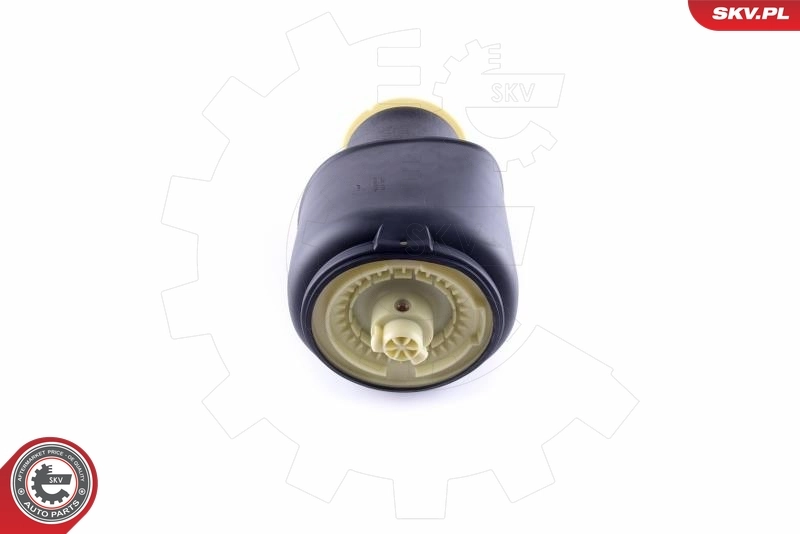 Air Spring, suspension 58SKV026
