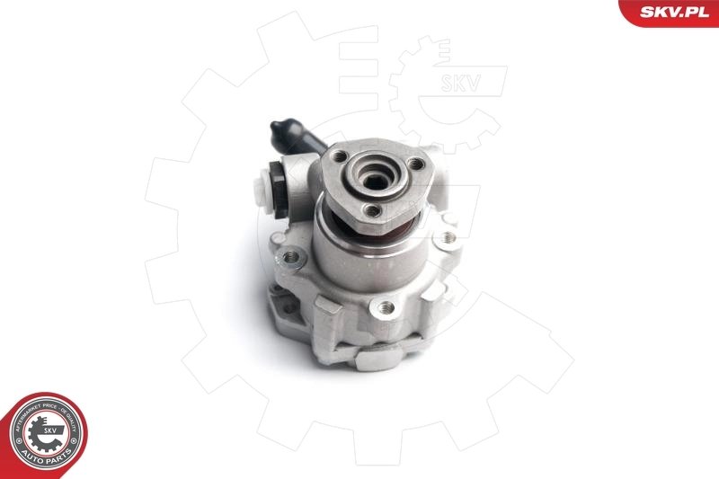 Hydraulic Pump, steering 10SKV173