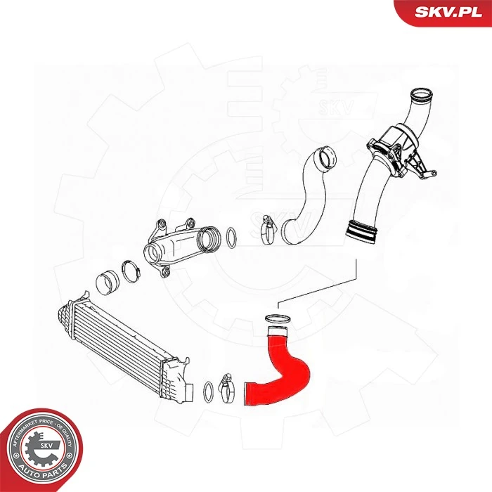 Charge Air Hose 43SKV440