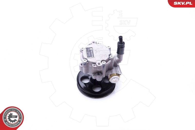 Hydraulic Pump, steering 10SKV251