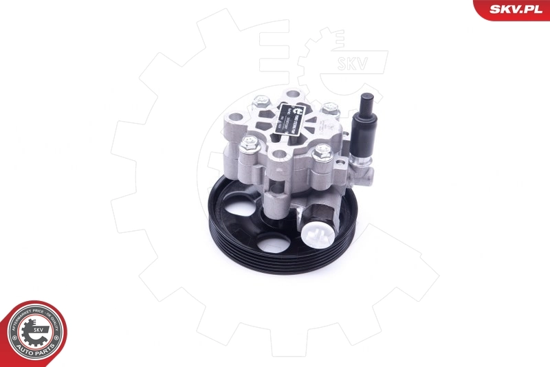 Hydraulic Pump, steering 10SKV287