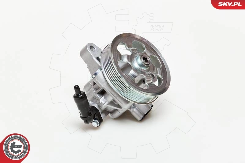 Hydraulic Pump, steering 10SKV076