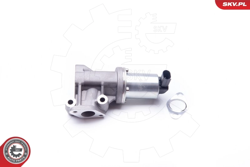EGR Valve 14SKV105