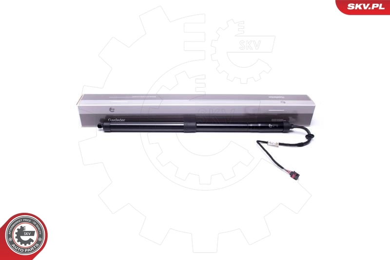 Electric Motor, tailgate 52SKV908