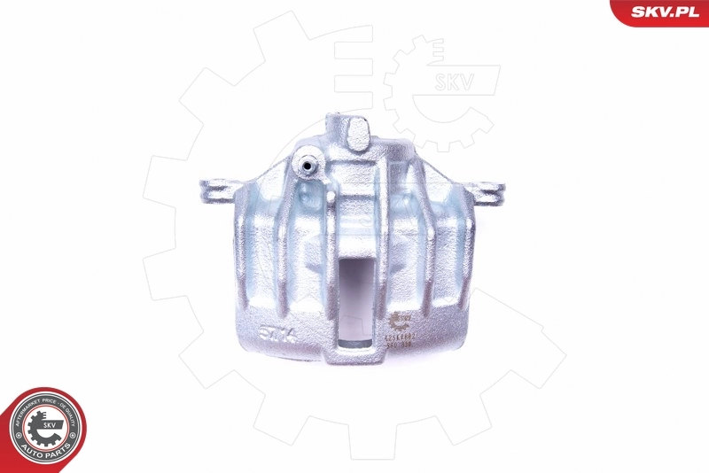 Brake Caliper 42SKV802